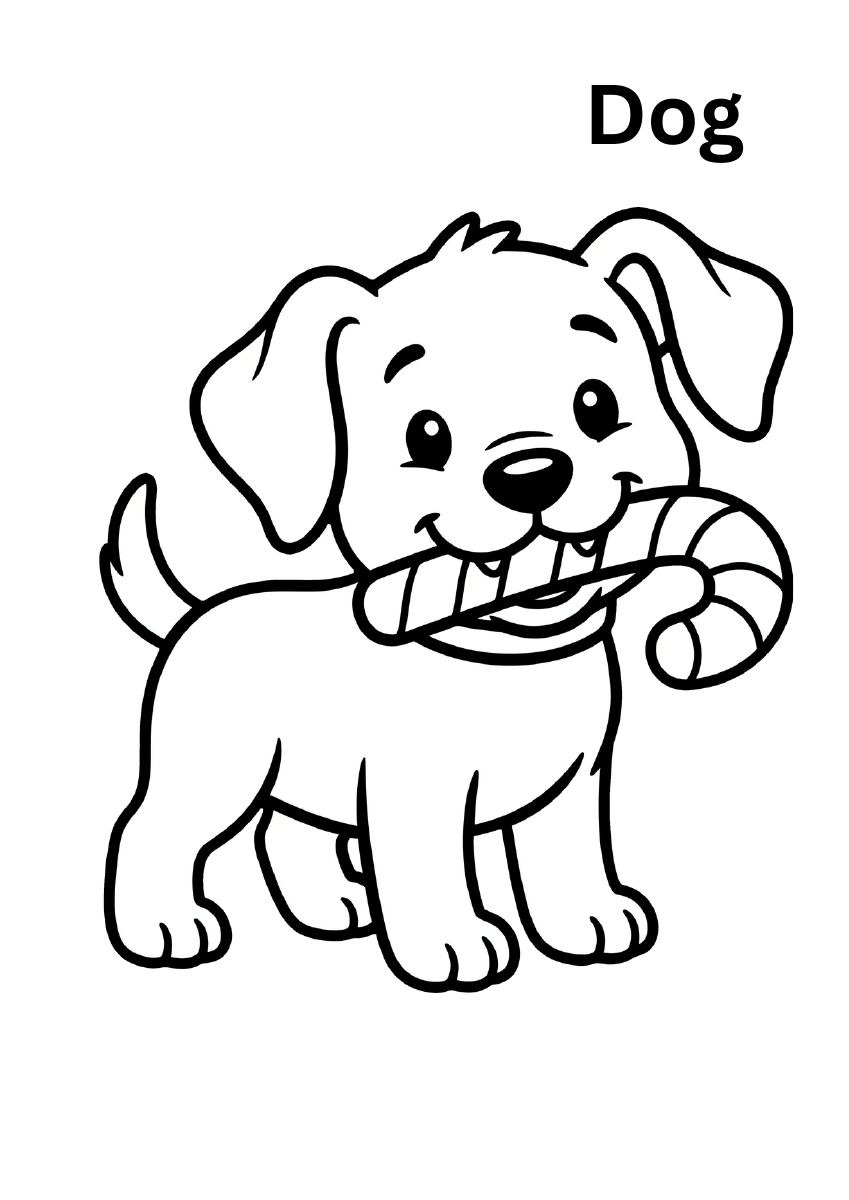 3-Book Colouring Combo | Printable PDFs